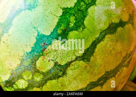 Green watermelon skin close-up, may be used as background Stock Photo