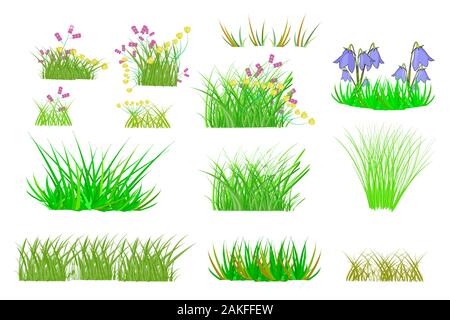 Grass set isolated on white background. Collection with summer green grass and flowers. Realistic green grass, fresh spring plants, different herbs, b Stock Vector