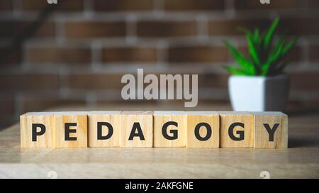 Pedagogy word written on wood block. Pedagogy text on wooden table for your desing, concept. Stock Photo