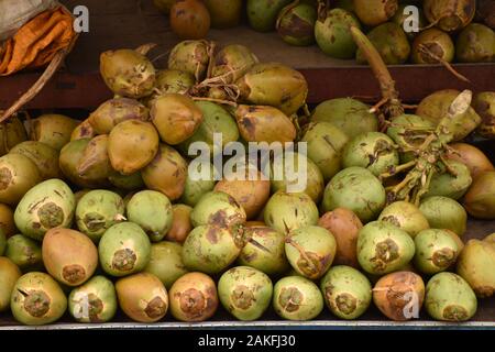 Fresh raw yellow and green coconuts fruits,placed in a stand for selling on the road side. The green coconut is a very popular fruit drink in India du Stock Photo