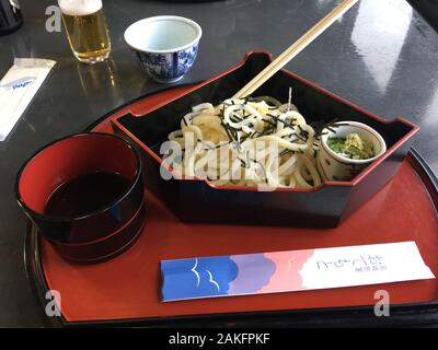 A simple dish of cold udon in Kanazawa, Japan Stock Photo