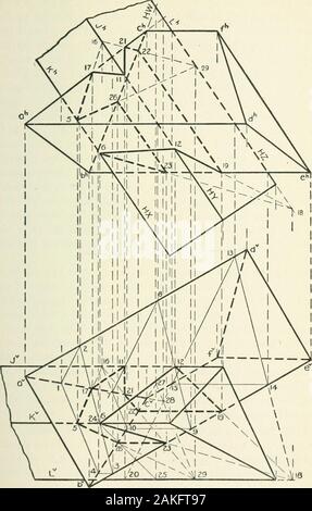 ○ ∘∘∘ ◉ Toxel ◉ ∘∘∘ ○, Wiki