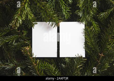 Christmas tree branches lay flat background with blank white card Stock Photo