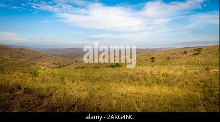 Panorama of the savannah in the Hluhluwe - imfolozi National Park in South Africa Stock Photo