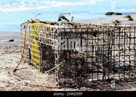 Empty trap Stock Photo