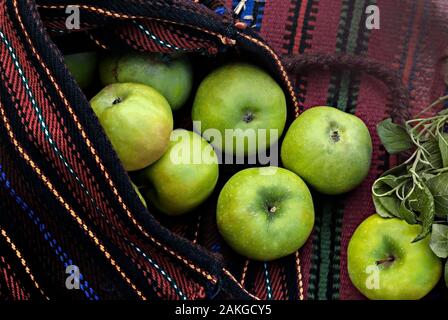 Green apples in a hand-woven bag; Stock Photo