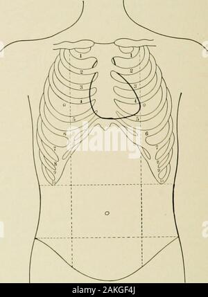 The practice of pediatrics . ility, (d) Felt or not, between the