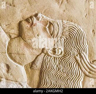 Luxor in Egypt, Assassif (part of the Valley of the Nobles), tomb of Kheruef : Acrobatic female dancer. Stock Photo