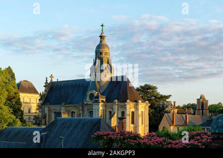 France, Loir et Cher, Loire Valley listed as World Heritage by UNESCO, Blois, St Vincent de Paul church Stock Photo
