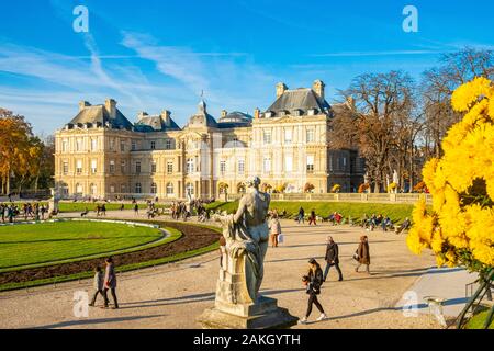 France, Paris, Luxembourg garden in autumn, the Senate Palace Stock Photo