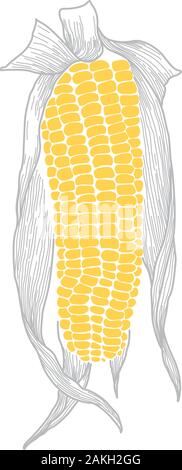 Sweet Corn Unique Vector Drawing Design. Simple Nature Artwork Stock Vector