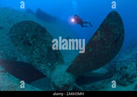 Wreck of the Thistlegorm in the Red Sea, off Egypt Stock Photo - Alamy