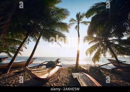 Traditional fishing boats under palm trees against sea. Tropical beach in Sri Lanka. Stock Photo
