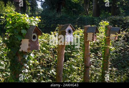 Line of wooden bird boxes in english garden,England Stock Photo