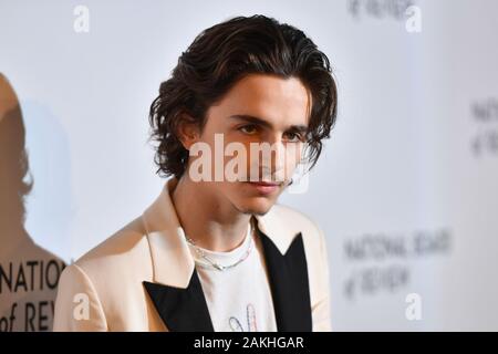 Timothee Chalamet attends the 2020 National Board Of Review Gala on January 08, 2020 in New York City. Stock Photo