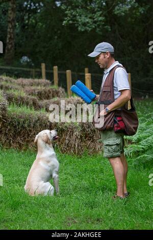 Gun dog trainer with Labrador and dummies training working dog Stock Photo