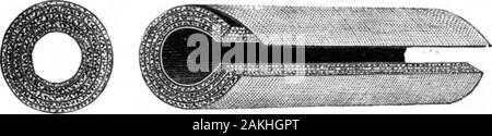 Scientific American Volume 59 Number 23 (December 1888) . felt, and adapted to stand a steam pressure of 80 to 100pounds. It is very light and porous on the inner side,next to the pipe, while the outer half of the coveringis made more solid and compact by the use of asbestossheathing and wool felt. The outer surface is of corru-gated wool felt, the goods being stitched with wire, andput up in such shape that they possess a high degree ofdurability as well as the best non-conducting qualities.Another variety of the same goods made by this. company is their indestructible sectional coverings,mad Stock Photo