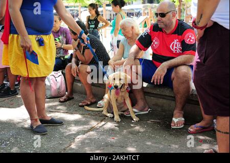 Rio de Janeiro, Brazil – February 23, 2019: Dog owners meet up to celebrate the Carnival with their animal. Stock Photo
