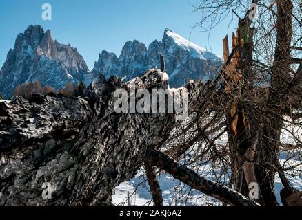beautiful dolomites in fresh wintersnow Stock Photo