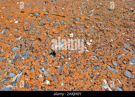 Yellow rough concrele surface close up detail, grunge horizontal shabby background Stock Photo