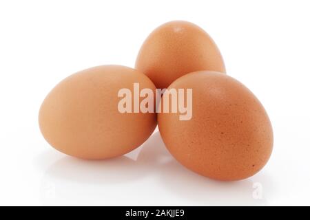 Three brown chicken eggs on a white background Stock Photo