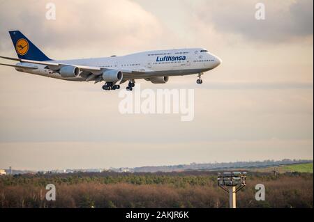 Lufthansa Boeing 747-800 aircraft coming in to land at Frankfurt airport in Germany at sunset Stock Photo