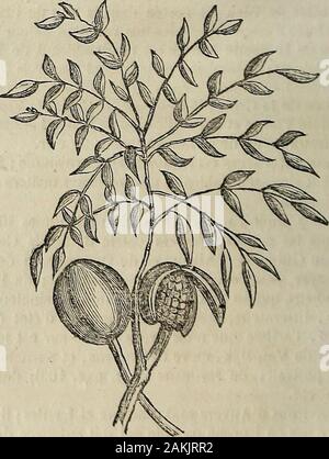 flèche de lit universelle