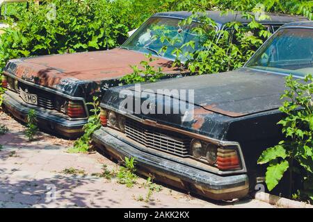 Ufa Russia 1 July 2019: vintage cars abandoned and rusting away in rural wyoming Stock Photo