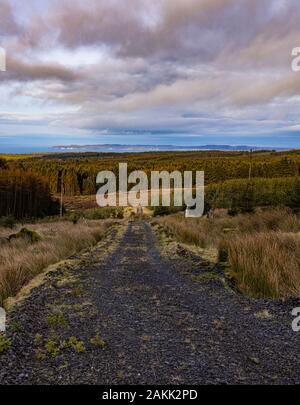Ballypatrick forest and Rathlin Island, Causeway coastal route, Ballycastle, County Antrim, Northern Ireland Stock Photo