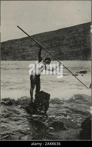 Old time Hawaiians and their work . Fishing with Spear FISHING 27