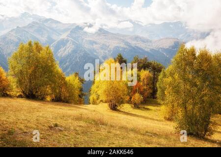 Beautiful autumn mountain landscape. Trees with yellow leaves lit by the sun against the background of the Caucasus mountain ranges. Georgia, Svaneti. Stock Photo
