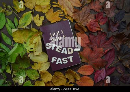 Word Autumn and letters on brown background Stock Photo - Alamy