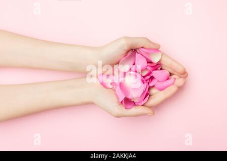 The woman hands hold rose flowers on a pink background. A thin wrist and natural manicure. Cosmetics for a sensitive skin care. Natural petal Stock Photo