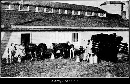 Practical dairy bacteriology, prepared for the use of students, dairymen, and all interested in the problems of the relation of milk to public health . FIG. S3—MILKING MACHINE(United States Department of Agriculture) ing is beyond question. It would seem that such a plan, whichcarries milk directly from the teat to a sterilized can, withoutcontact with the air, would be almost ideal and would removepractically all dirt contamination. All ordinary sources offilth contamination are excluded by such milking machines, and I30 PRACTICAL DAIRY BACTERIOLOGY where they have been intelligently used the Stock Photo