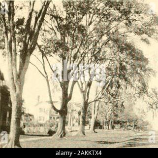 Newtown's history and historian, Ezra Levan Johnson . gUANNEAPAGUE TAUNTON POND North EndSee Page 18. Stock Photo