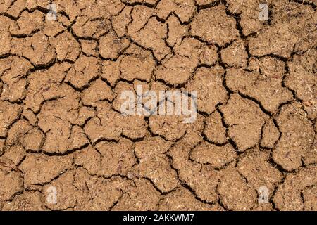 Texture of dry and dehydrated soil cracks Stock Photo