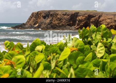 Savanna of Petrifications in Martinique, France Stock Photo