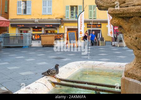 A wet pigeon bathes in a fountain of a small square in the historic Old Town of Vieux Nice, France, on the French Riviera. Stock Photo