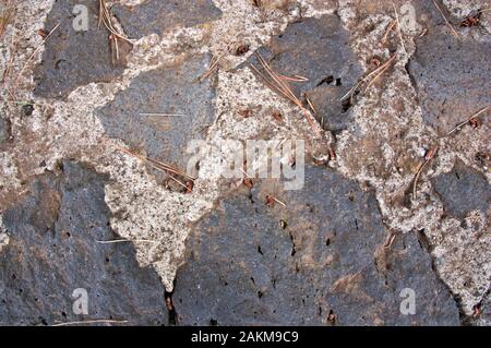 Soil composed of blocks of volcanic stone with some pine leaves on its surface Stock Photo