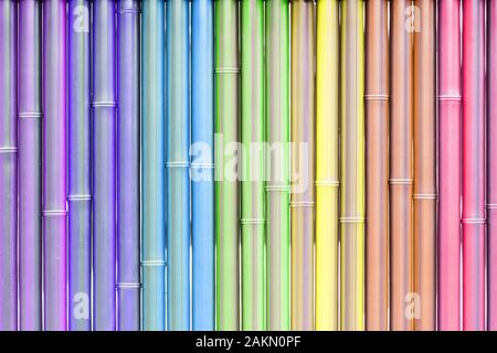Vertical dry bamboo colorful wall texture for background. Stock Photo