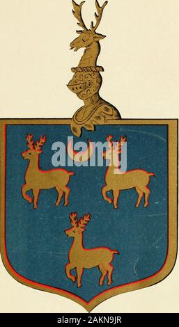 The Greene family and its branches from A.D861 to A.D1904 .