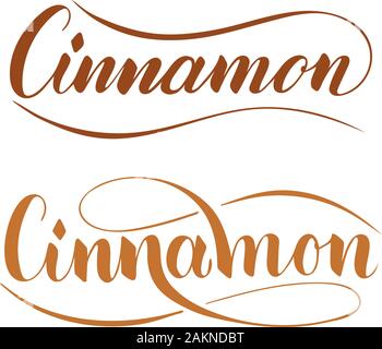 Vector hand written cinnamon text isolated on white background. Kitchen healthy herbs and spices for cooking. Script brushpen lettering with flourishe Stock Vector