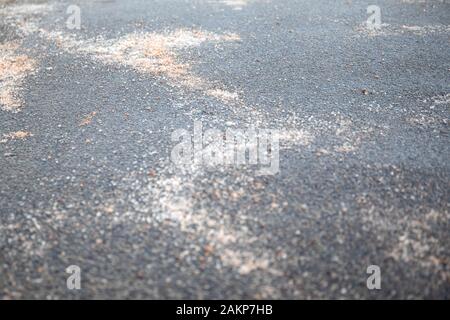 Salt spilled on the pavement. Winter season, slick and dangerous. Nature protection and ecology Stock Photo