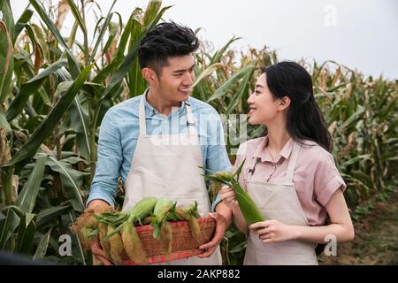 Oriental couple pick corn Stock Photo - Alamy