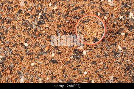 Birdfood - Mixed seeds, grain, nuts and corn, isolated Stock Photo