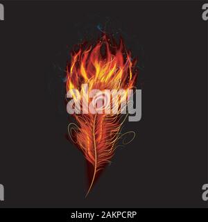 Fire burning peacock feather with black background. vector Stock Vector
