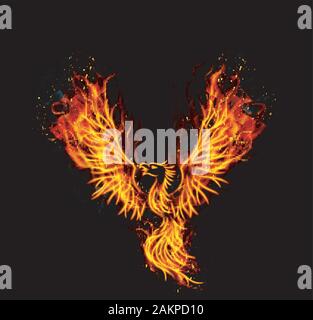 Fire burning Phoenix Bird with black background. vector Stock Vector