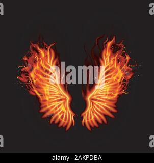 Fire burning wings Stock Vector