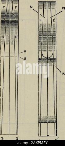 Violin making, marking the scroll Stock Photo - Alamy