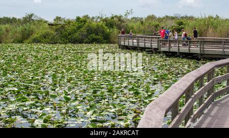 Wooden footbridge over swampland with visitors, Everglades National Park, Florida, USA Stock Photo